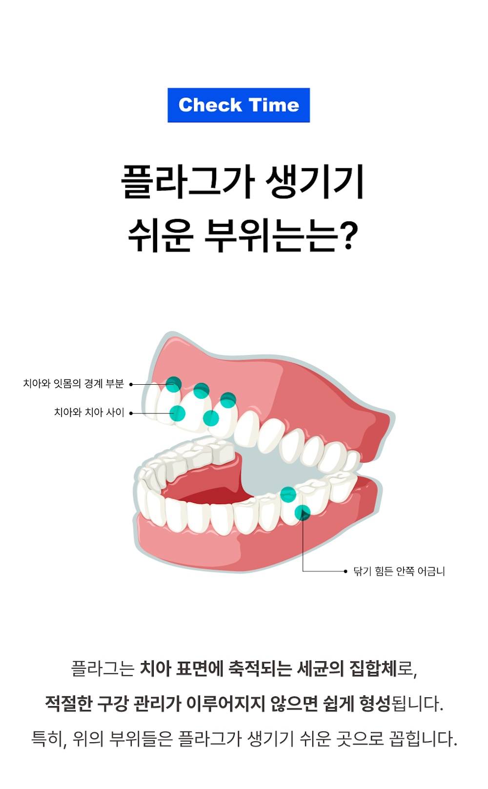 14-1. 문제제기_플라그.jpg